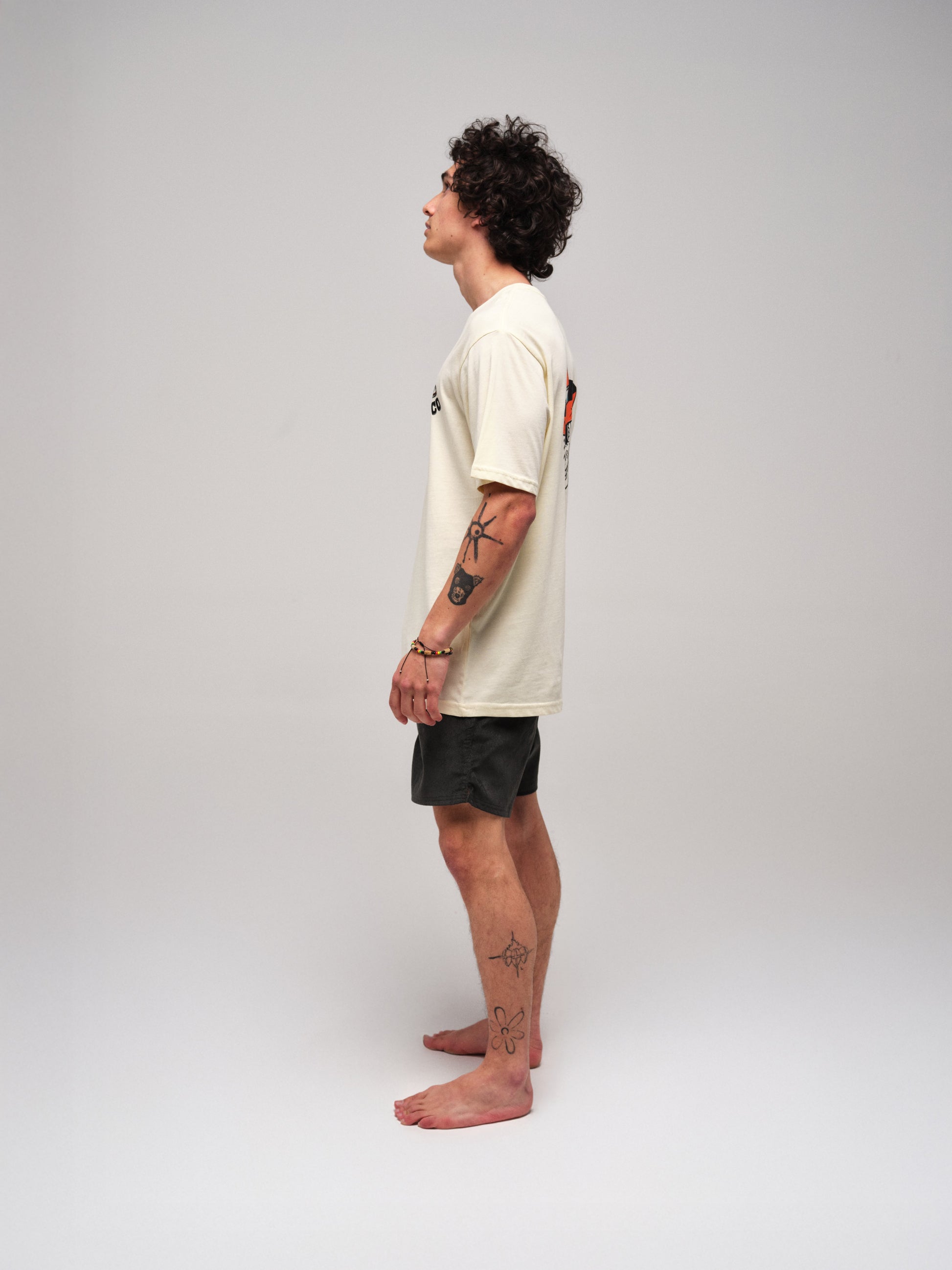 Organic T-Shirt - Mexico Skull L