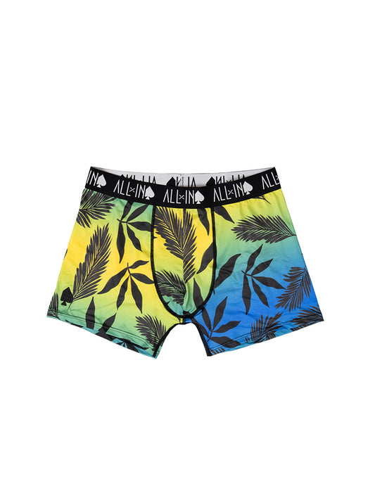 Boxer - Palm L