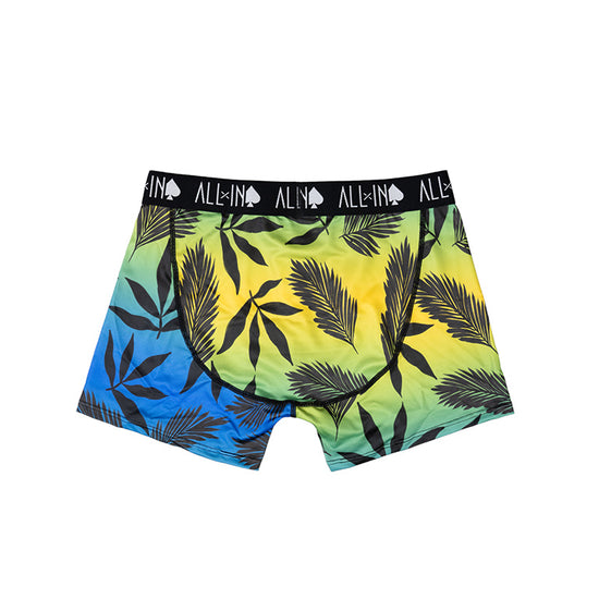 Boxer - Palm L