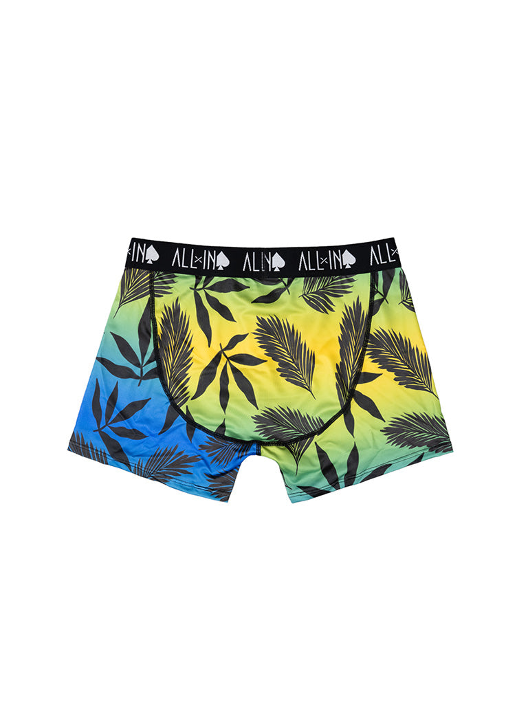 Boxer - Palm L