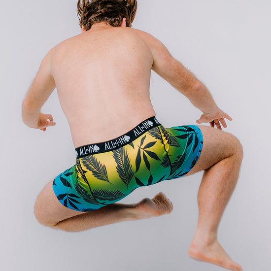 Boxer - Palm L