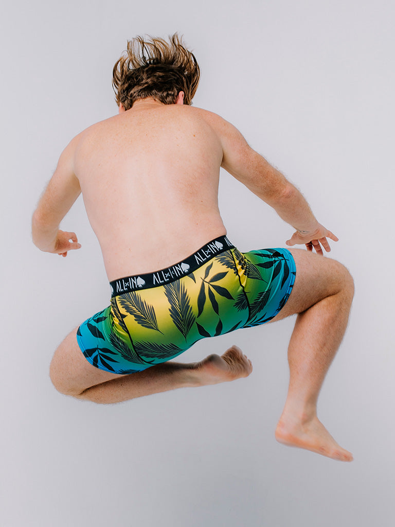 Boxer - Palm L