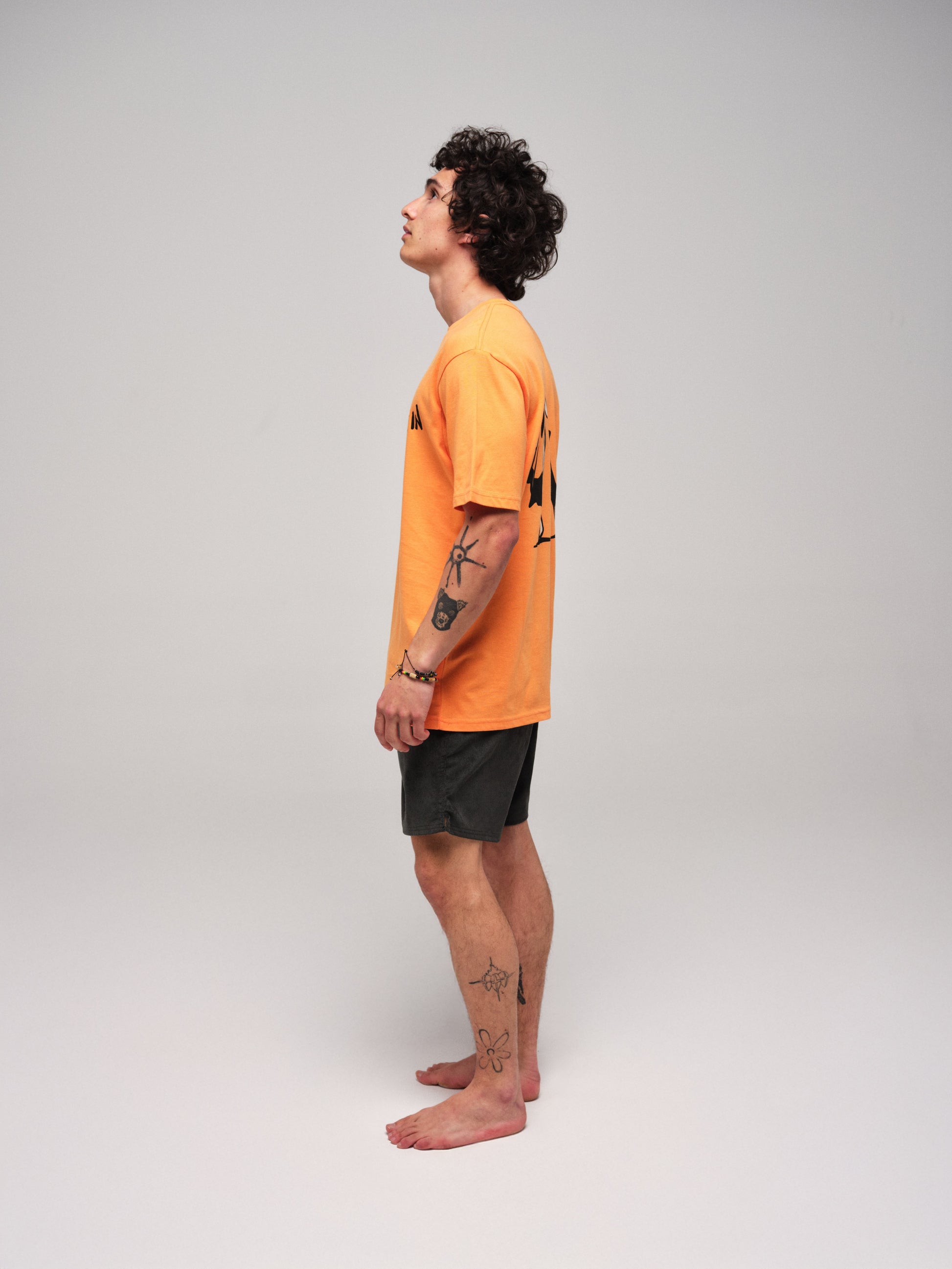 Camiseta - Kai - Albaricoque L